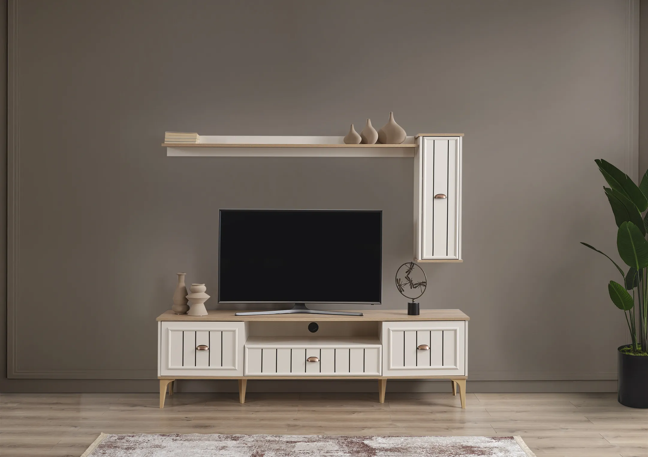 Tv Ünitesi